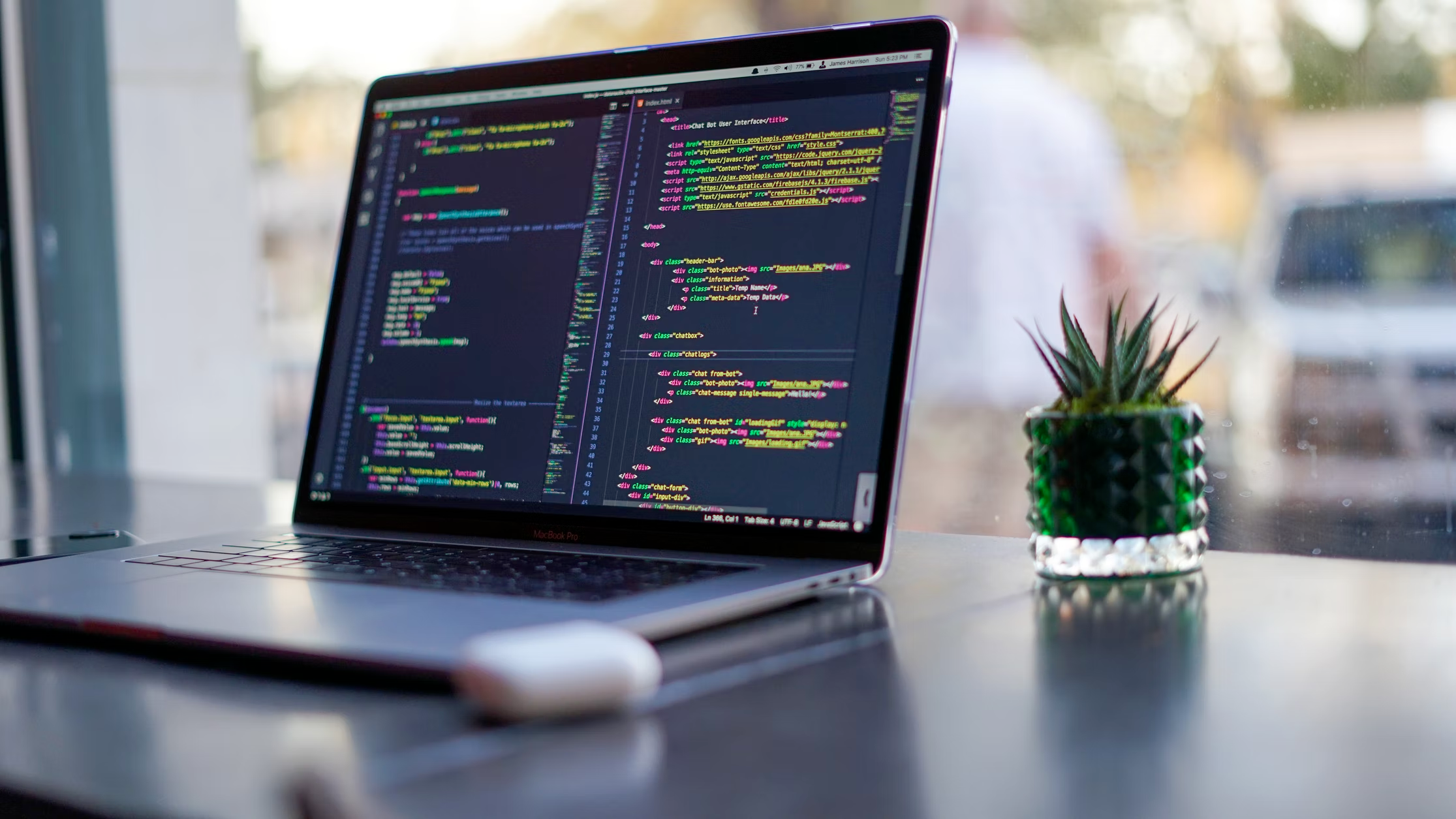 laptop open on a desk with a small plant nearby