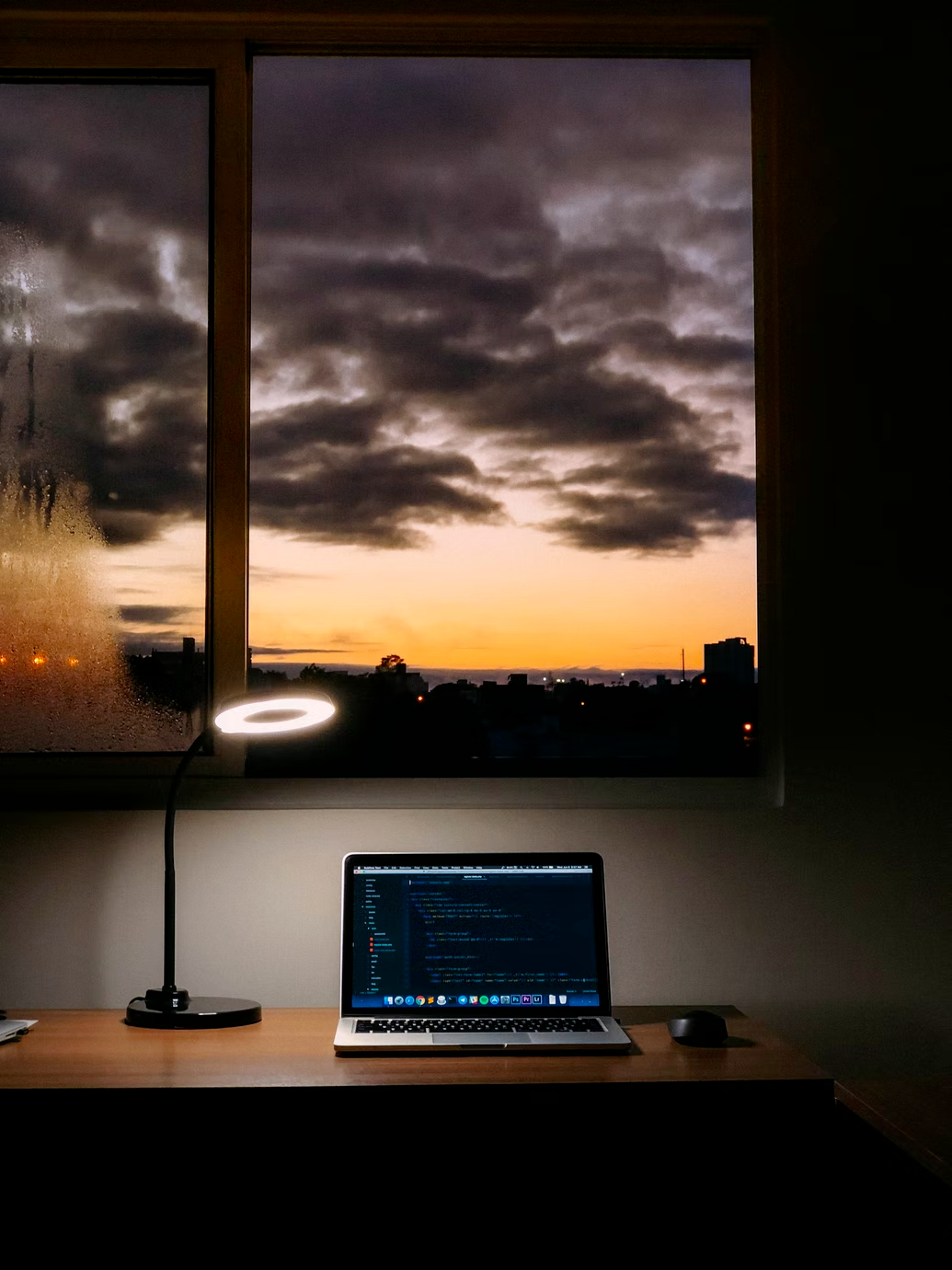laptop open on a desk with a small plant nearby